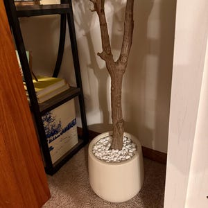 StephB added a photo of their purchase