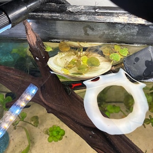 Porter added a photo of their purchase