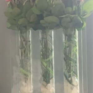 Angel added a photo of their purchase