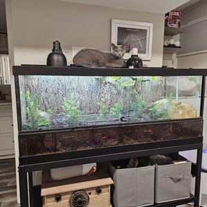 Ashley added a photo of their purchase