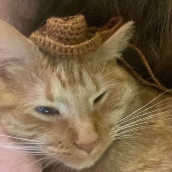Cowboy Hat Crochet Pattern Mini Cowboy Hat Mini Cowgirl Hat Pink Cowboy Hat Crochet Pattern Mini Cowboy Hat Mini Cowgirl Hat Pink