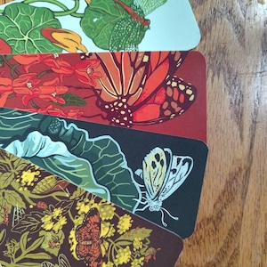 molly added a photo of their purchase