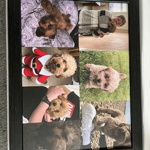 Luke hat ein Foto des gekauften Artikels hinzugefügt