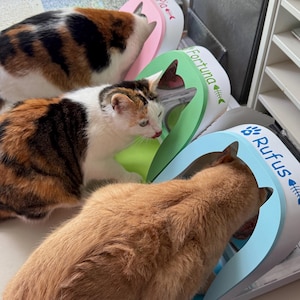 Sandra added a photo of their purchase