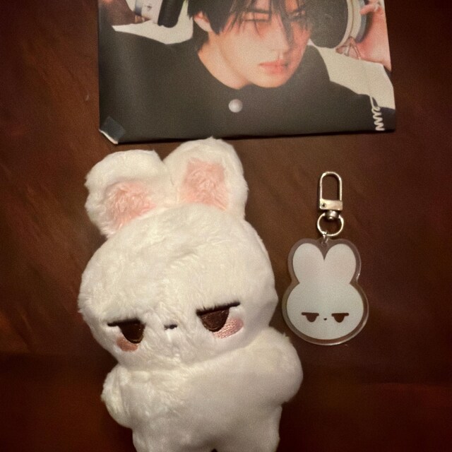 Stray Kids Lee Bit Skzoo Skz Fanmade 10 Cm Doll - Etsy