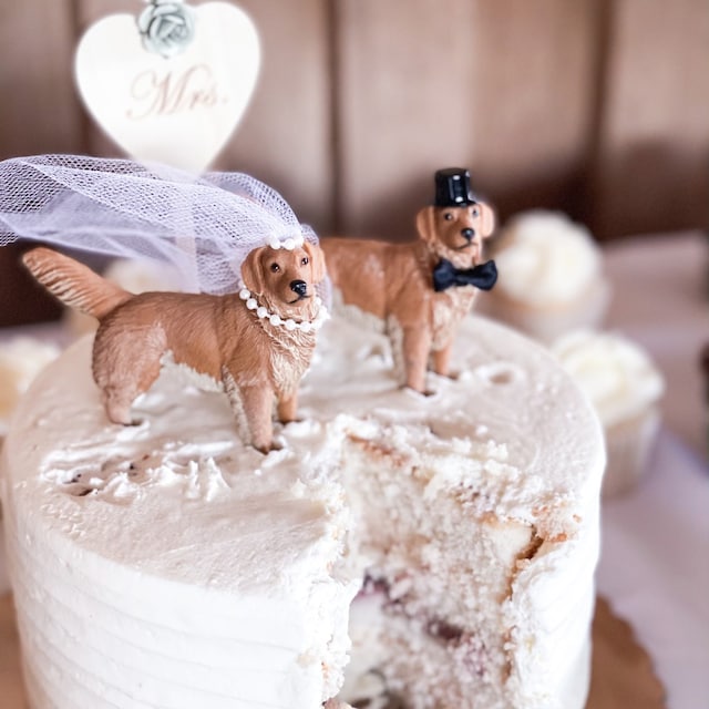 Golden Retriever Doggie Cake Mix Golden Retriever Dog Couple