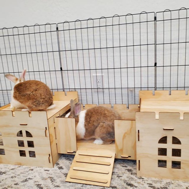 Haustier Wippe Aus Holz – Spielzeug Für Hamster, Ratten, Mäuse & Kleine Nager, Kauspielzeug & Käfig-Deko