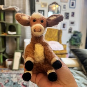 Olga added a photo of their purchase