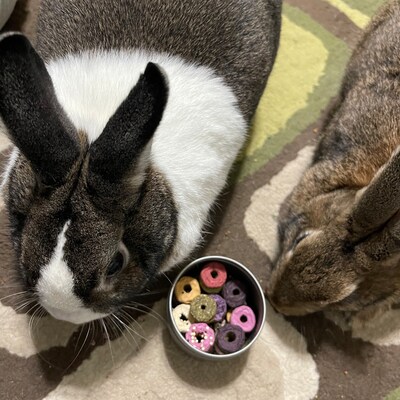 24 donut Rabbit Treats With Organic Fruit & Veggie - Etsy