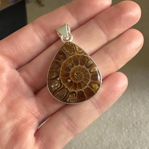 Holly added a photo of their purchase