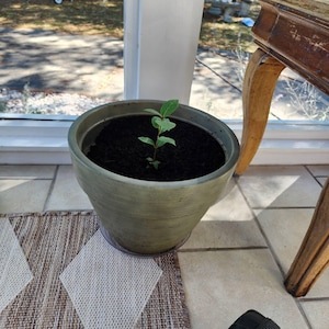 Melissa added a photo of their purchase