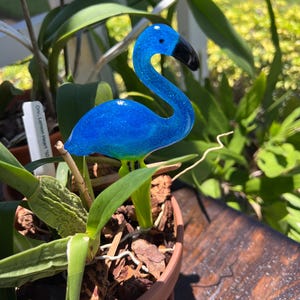 Ann added a photo of their purchase