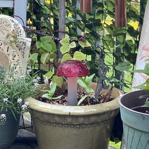 Heather added a photo of their purchase