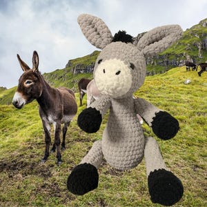 Laura added a photo of their purchase