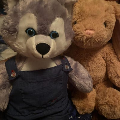 Build A Bear Brown Puppy Dog White Eye Patch 15 Plush BAB Stuffed ...