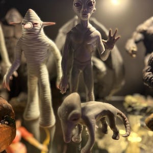 Tom hat ein Foto des gekauften Artikels hinzugefügt