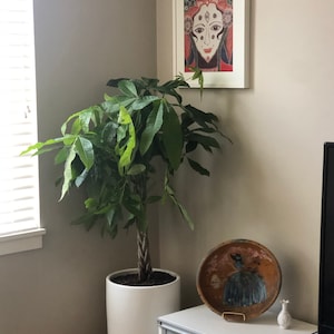 Alissa ha añadido una foto de su compra