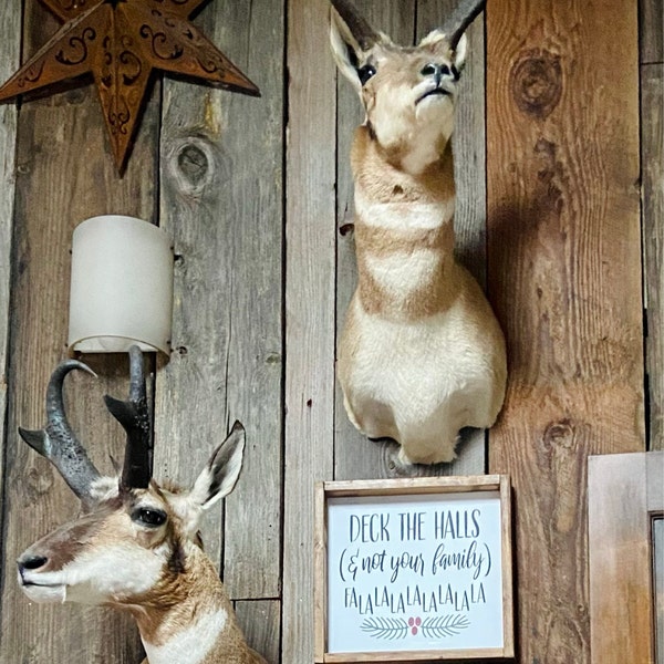 But Home Was A Dream One That I’d Never Seen Till You Came Along Sign ...