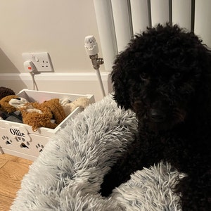 Jamie added a photo of their purchase