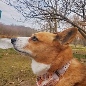 Sammy ha aggiunto una foto del proprio acquisto