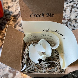 V added a photo of their purchase