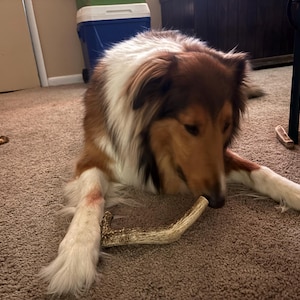 Peggy added a photo of their purchase