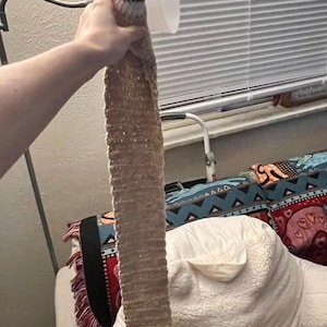 Hannah added a photo of their purchase