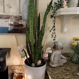 amy added a photo of their purchase