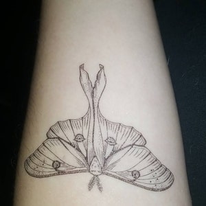 Luna Moth Temporary Tattoo Black Line Tattoo Winged Insect Etsy