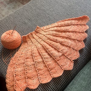 Bhavana heeft een foto van de aankoop toegevoegd