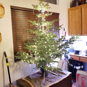 Erica さんが購入した商品の写真を追加しました