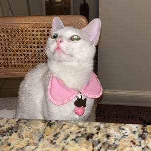 BriAnna added a photo of their purchase