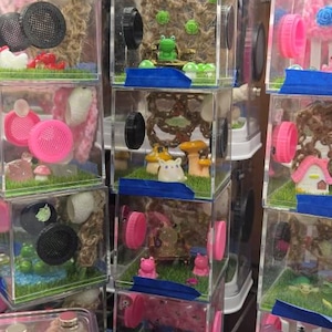 Rebecca added a photo of their purchase