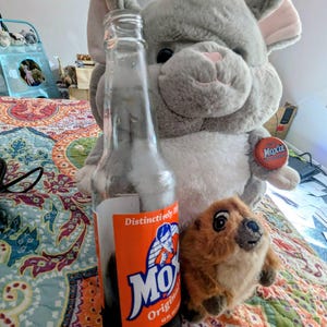 Amanda heeft een foto van zijn/haar aankoop toegevoegd