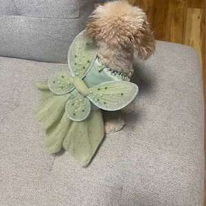 Tinkerbell Green Sage Glitter Dress for Cat Dog Rabbit. Fairy Wings Glitter  Dress. Fairytale Theme Birthday Dress Costume. - Etsy