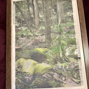 Annette added a photo of their purchase