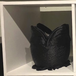 Christopher added a photo of their purchase