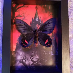 Teri added a photo of their purchase