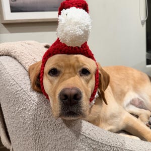12-Piece Dog & Cat Christmas Santa Hat & Scarf Set - Small Pet Holiday Costumes