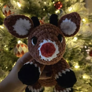 Madison added a photo of their purchase