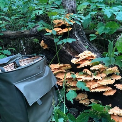Foraging Basket Rucksack, Backpack for Mushroom Picking, Hunting ...