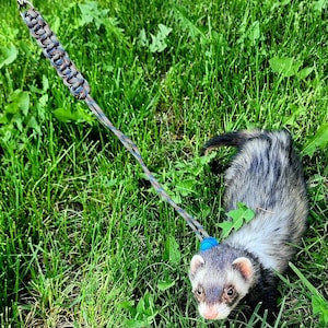 Sherrie added a photo of their purchase