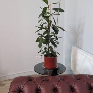 Charles added a photo of their purchase