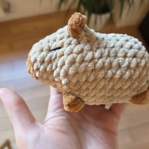 Maria hat ein Foto des gekauften Artikels hinzugefügt