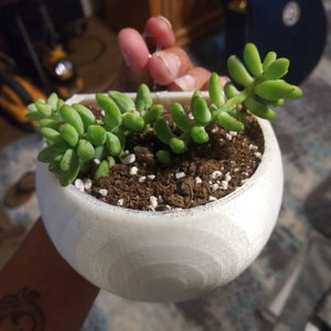 April added a photo of their purchase