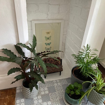 Vinyl Wrap Terrazzo Furniture Vinyl Wrap Stair Riser - Etsy