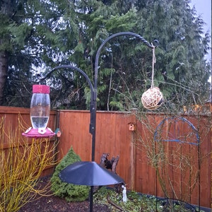 Carrie added a photo of their purchase
