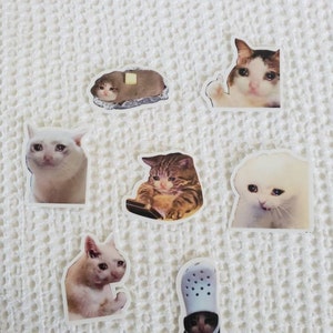 Featured image of post The Best 23 Gato Triste Pulgar Arriba