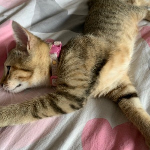 Jodie added a photo of their purchase