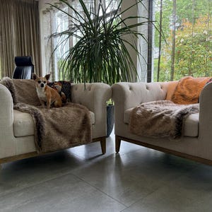 Ruth added a photo of their purchase